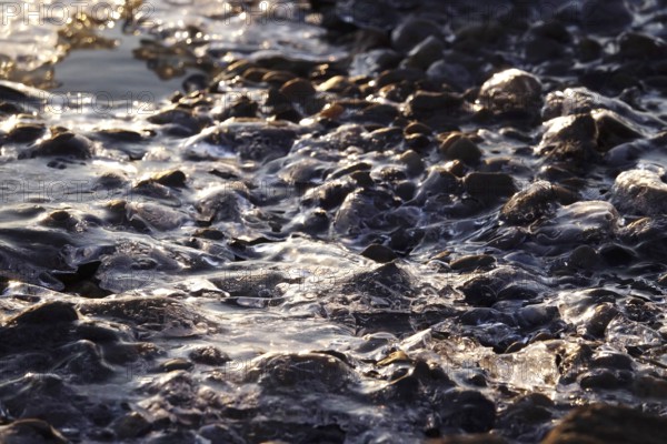 Ice on a lake on the shore, winter, Germany