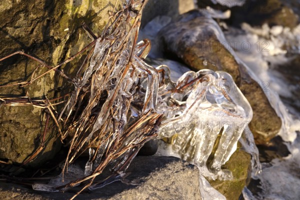 Ice on a lake shore, winter, Germany
