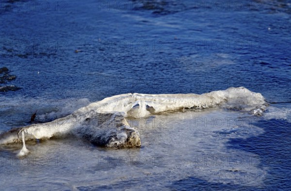 Ice on a lake on a branch, winter, Germany