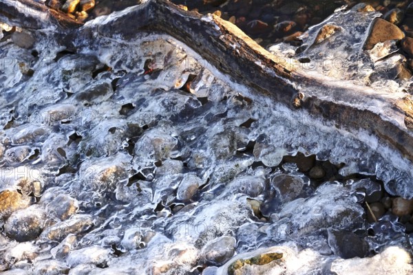Ice on a branch on a lake, winter, Germany