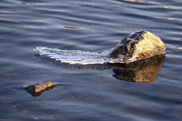 Ice on a lake on a rock, winter, Germany