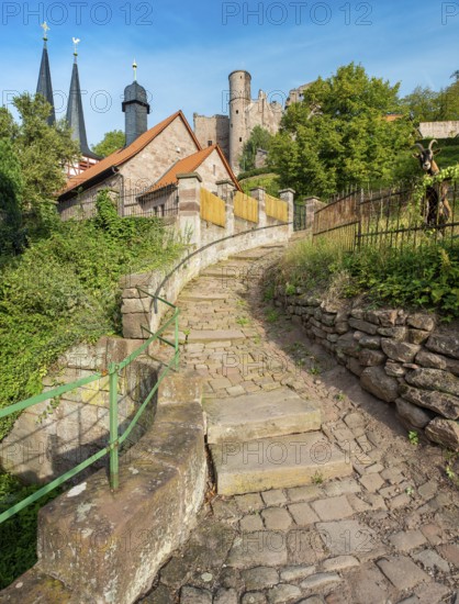Narrow steep alleyway with cobblestones in the small village of Rimbach below the ruins of Hanstein Castle, a goat looks curiously over a wrought-iron fence, Bornhagen, Eichsfeld, Thuringia, Germany