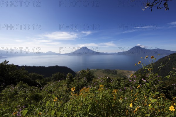 Lake Atitlán or Lake Atitlán in the morning, in the back the volcanoes San Pedro, Atitlán and Toliman, Panajachel, Sololá Department, Guatemala