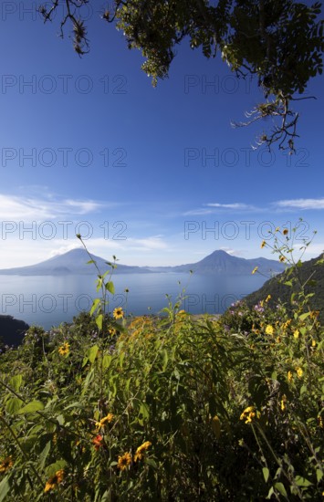 Lake Atitlán or Lake Atitlán in the morning, in the back the volcanoes San Pedro, Atitlán and Toliman, Panajachel, Sololá Department, Guatemala