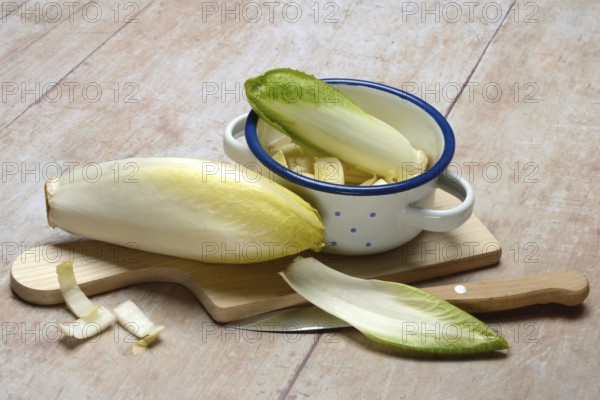 Chicory, chicory salad on wooden board with knife