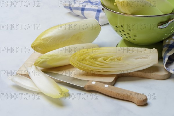 Chicory, chicory salad on plate with knife