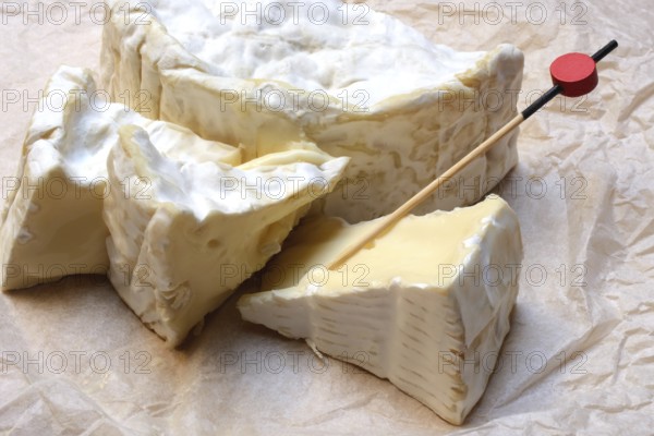 French Camembert in pieces, France
