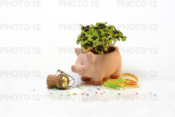 Lucky ceramic pig with shamrock plant and champagne cork, New Year