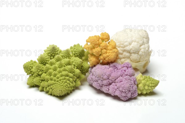 Colored cauliflower, Brassica oleracea var. botrytis