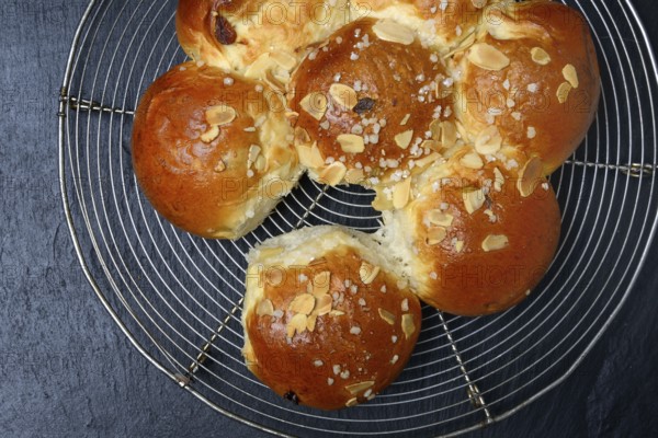 Epiphany cake on cake rack, Switzerland