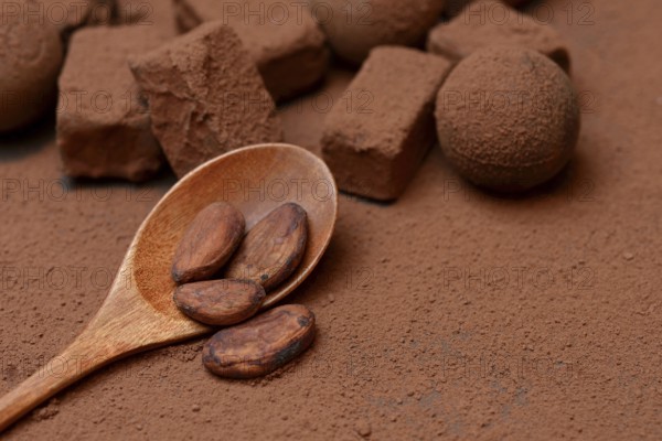 Cocoa beans in wooden spoons, cocoa powder and chocolate pralines