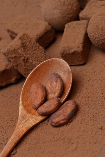 Cocoa beans in wooden spoons, cocoa powder and chocolate pralines