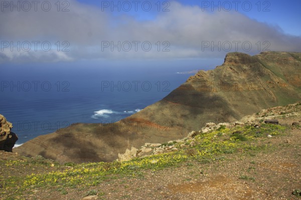 Mountainside with flowers and sea views, under blue sky with clouds, Mirador de Ermita de Las Nieves, Lanzarote