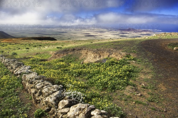 Wide meadow landscape with flowers and clouds, partly sunny, Mirador de Ermita de Las Nieves, Lanzarote