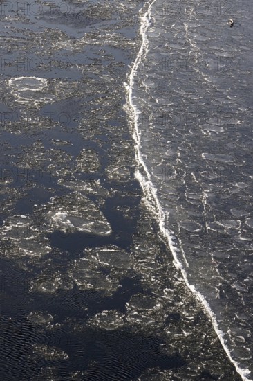 Elbe with ice, winter, Dresden, Saxony, Germany