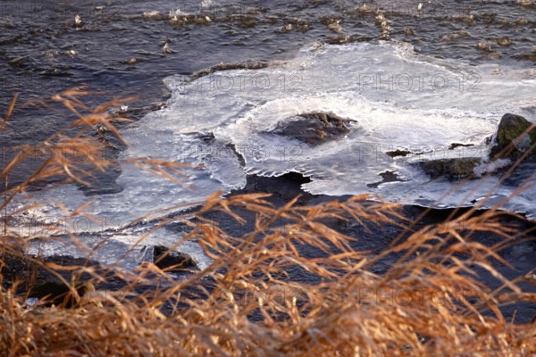 Elbe with ice on the shore, winter, Dresden, Saxony, Germany