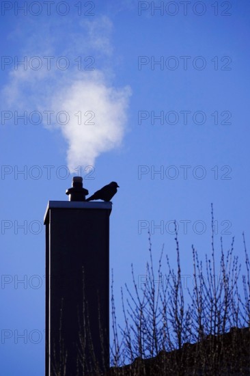 Heating in winter, Germany