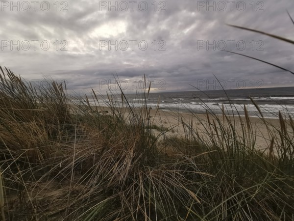 View through dunes of stormy sea, cloudy sky and rough coastal landscape, Baltic Sea, fresh spit, Pomerania, Poland