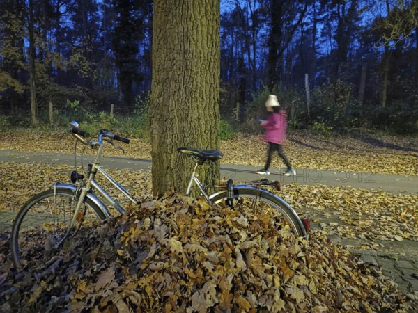 A bicycle is leaning against a tree next to a pile of leaves in the park at dusk, a woman walks past in the background, bicycle sinks into leaves, Berlin, Germany