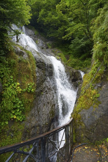 Rustling waterfall flows over rocks in the middle of a green forest, St. Andrew Waterfall, near the border crossing with Turkey, Sarpi, Autonomous Republic of Adjara, Georgia