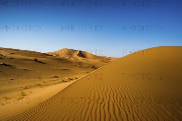 Sand dunes, sunset, near Merzouga, Meknès-Tafilalet region, Erg Chebbi, northern Sahara, Morocco