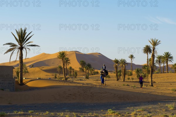 Sand dunes, sunrise, near Merzouga, Meknès-Tafilalet region, Erg Chebbi, northern Sahara, Morocco