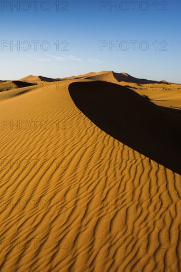 Sand dunes, sunset, near Merzouga, Meknès-Tafilalet region, Erg Chebbi, northern Sahara, Morocco