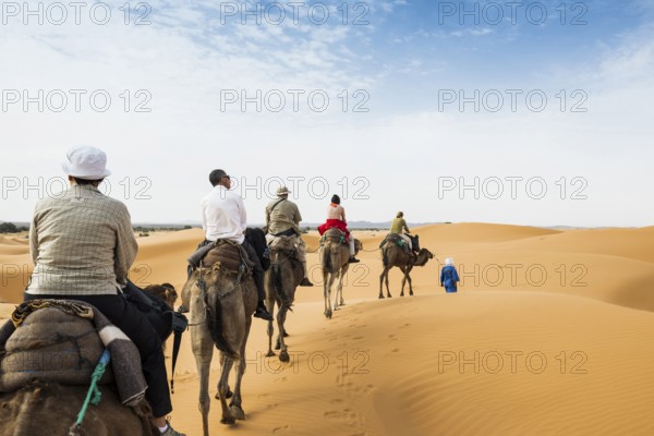 Tourists on dromedaries in the desert, near Merzouga, Meknès-Tafilalet region, Erg Chebbi, northern Sahara, Morocco