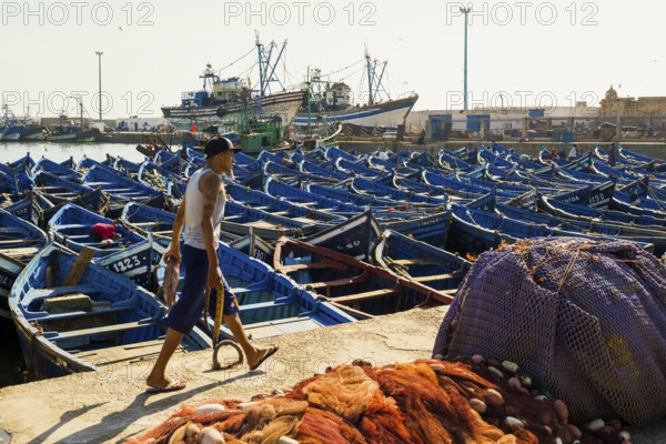 Fishing boats, fishing port, Essaouira, UNESCO World Heritage Site, Atlantic coast, Morocco