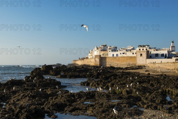 Essaouira, UNESCO World Heritage Site, Atlantic Coast, Morocco