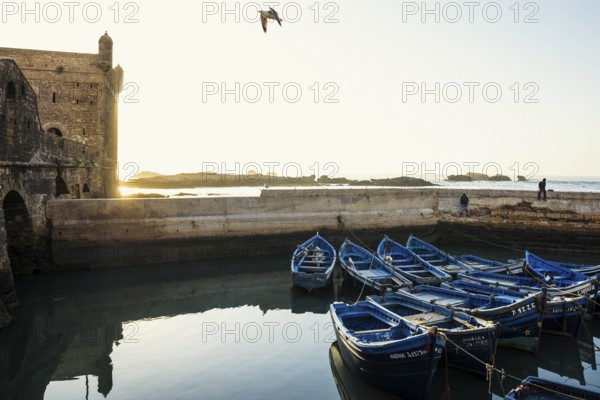 Fishing boats, fishing port, sunset, Essaouira, UNESCO World Heritage Site, Atlantic coast, Morocco