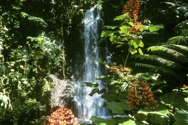 Waterfall in the jungle, Tahiti, Franz. polynesia