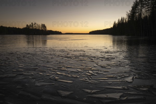 Ice formation on the shore of a freezing lake, forest, sunrise, winter, Hartola, Finland