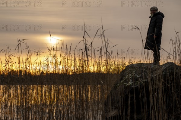Woman in winter clothes standing on a rock on a lakeside covered with reeds, sunset, winter mood, Finland