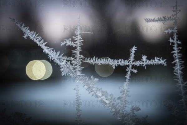 Ice crystals, close-up of frost on glass with bokeh through lights in the background, wintry atmosphere, Finland