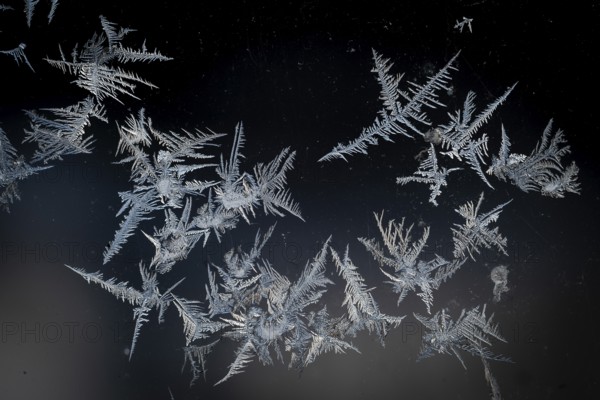 Small ice flowers on a window, winter, Finland