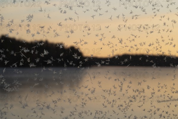 Small ice flowers on a window with lake and forest in the background at sunrise, Finland