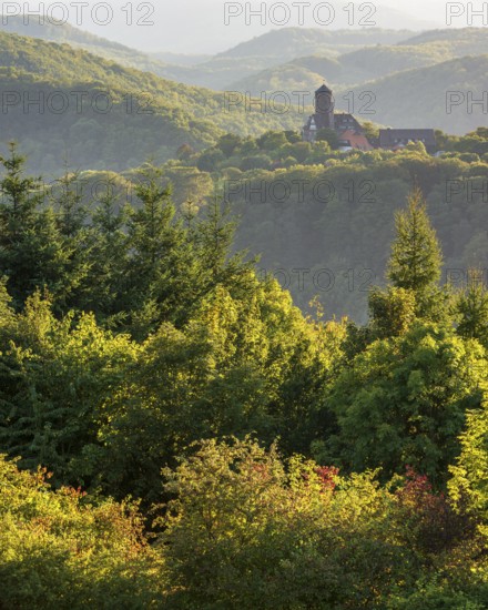 View of Ludwigstein Castle in the evening light, landscape with hills and forest in the Werra Hills near Witzenhausen, Hesse, Germany
