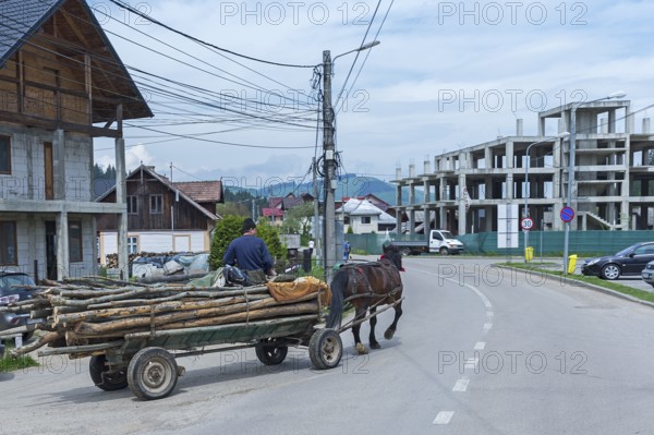 Horse-drawn carriage with logs on the road, Vorone?, Buckowina, Romania