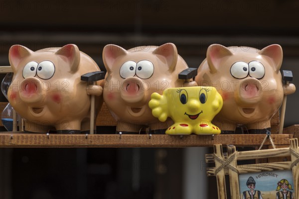 Piggy banks as souvenirs, Vorone?, Romania