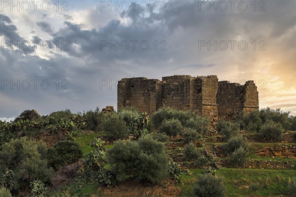 Massive stone walls, ruins and Mediterranean vegetation on a hill, sunset, Chiesa di Santa Maria di Campogrosso, Chiesazza, Altavilla Milicia, Palermo, Sicily, Italy