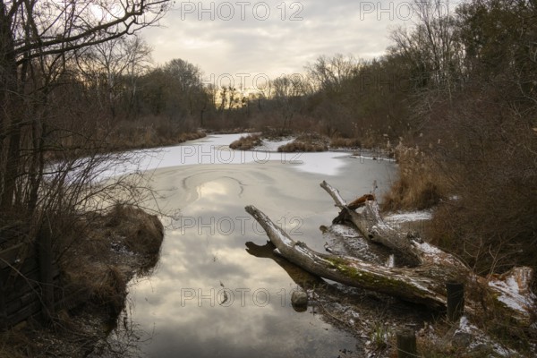 Winter atmosphere, riparian forest, ice, snow, Lower Austria