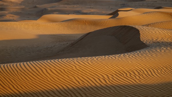 Sand dunes in the Rhub al Khali desert, detailed view, empty quarter, largest sandy desert in the world, Oman