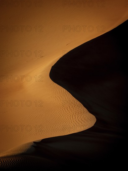 Sand dunes in the Rhub al Khali desert, detailed view, empty quarter, largest sandy desert in the world, Oman