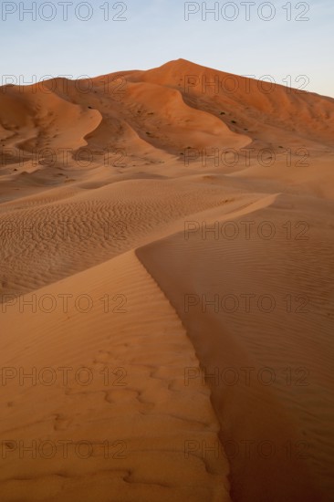 Sand dunes in the Rhub al Khali desert, empty quarter, largest sandy desert in the world, Oman