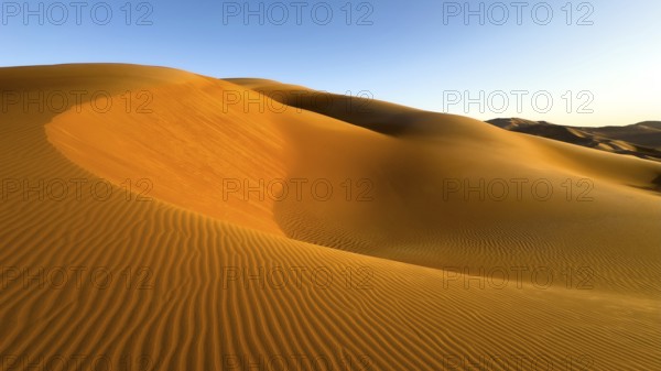 Sand dunes in the Rhub al Khali desert, empty quarter, largest sandy desert in the world, Oman