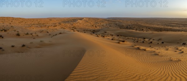 Sand dunes in the Wahiba Sands desert, Oman