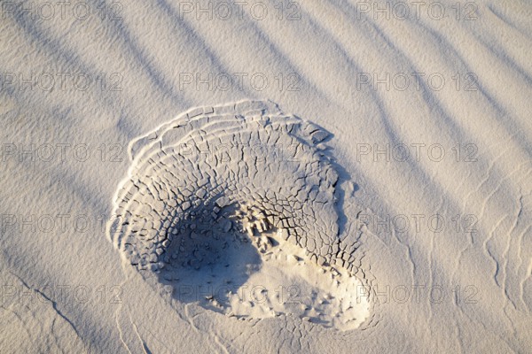 Footprint in sand, white sand dunes in the Khaluf Desert, Oman