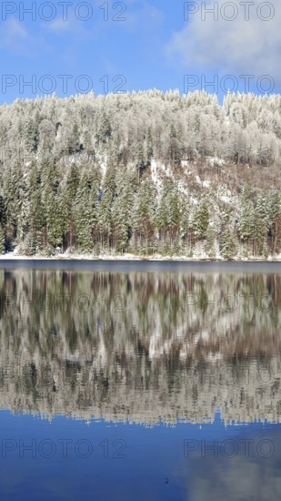 Snowy forest reflecting in a quiet lake on a clear winter day, Rennsteig, Thuringian Forest