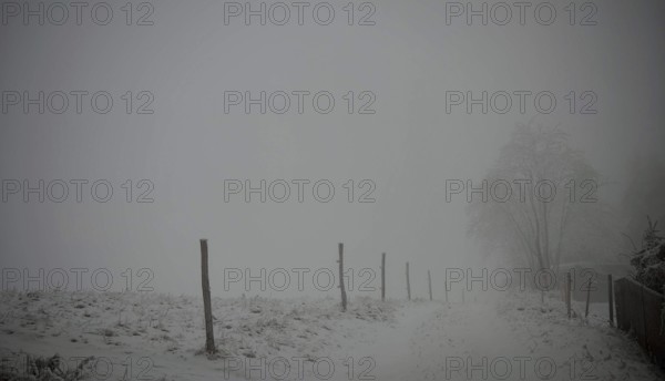 Foggy, snowy landscape with fences and dark sky, Rennsteig, Thuringian Forest